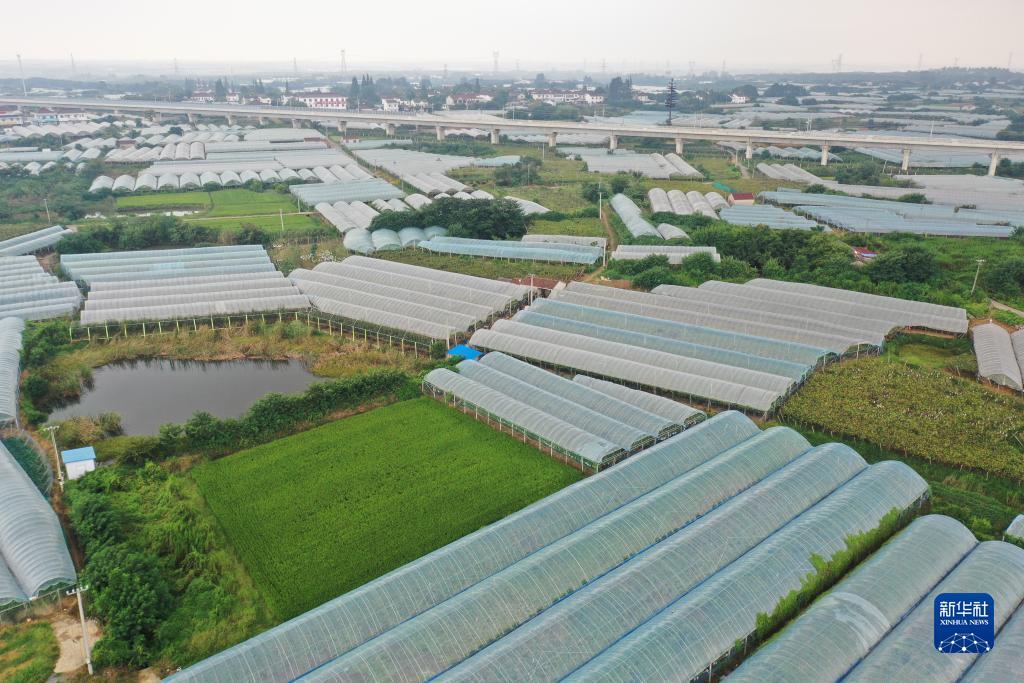 90ko极速比分